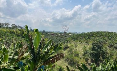 VENDO HERMOSA FINCA AGRO-TURSTICA EN FILANDIA