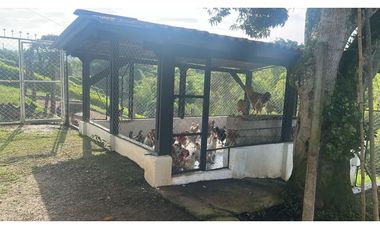 VENDO FANTÁSTICO CHALET