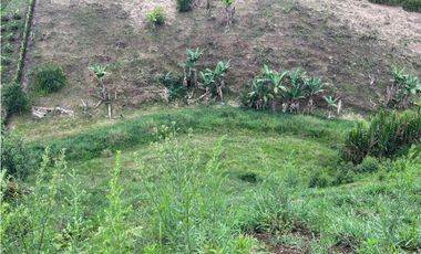 VENDO FANTSTICO LOTE CAMPESTRE