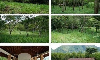 venta de lotes en Parcelacion la Siria Antioquia.
