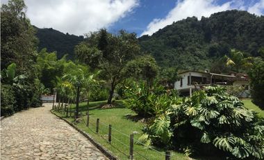 Venta finca venecia El rincon