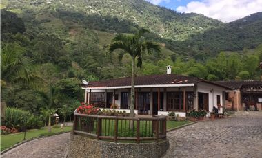 Venta finca venecia El rincon