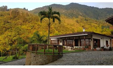 Venta finca venecia El rincon
