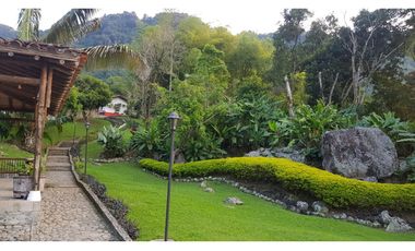 Venta finca venecia El rincon