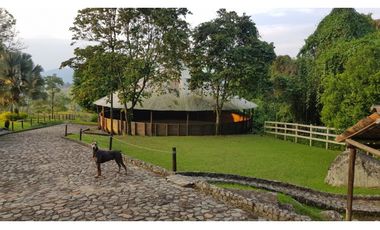 Venta finca venecia El rincon