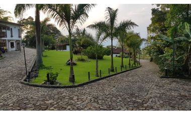 Venta finca venecia El rincon
