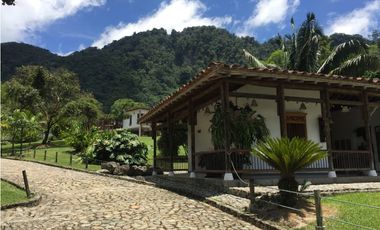 Venta finca venecia El rincon