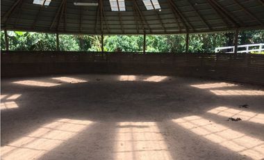 Venta finca venecia El rincon