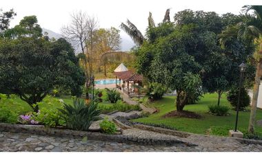 Venta finca venecia El rincon