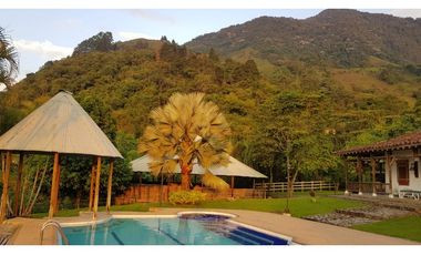 Venta finca venecia El rincon