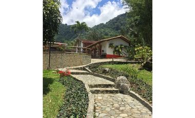 Venta finca venecia El rincon