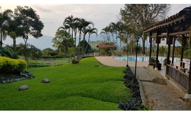 Venta finca venecia El rincon