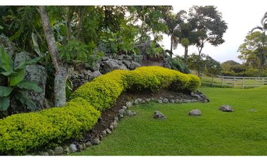 Venta finca venecia El rincon