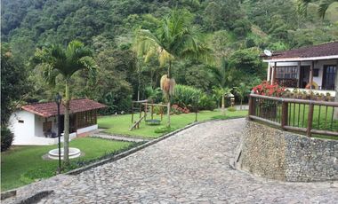Venta finca venecia El rincon