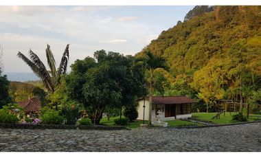 Venta finca venecia El rincon