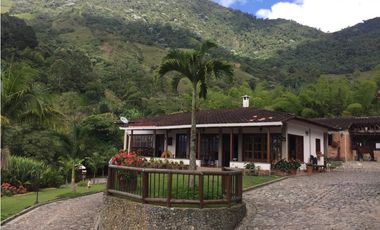 Venta finca venecia El rincon