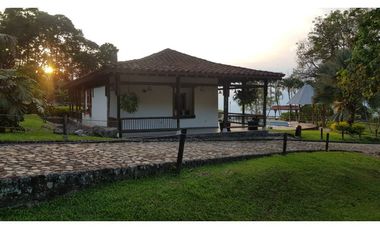 Venta finca venecia El rincon