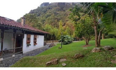 Venta finca venecia El rincon
