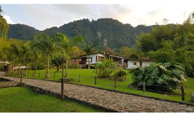 Venta finca venecia El rincon