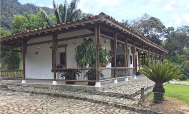 Venta finca venecia El rincon