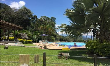 Venta finca venecia El rincon