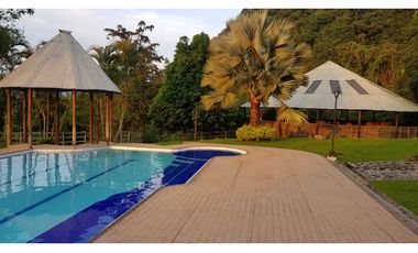 Venta finca venecia El rincon