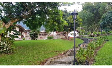 Venta finca venecia El rincon