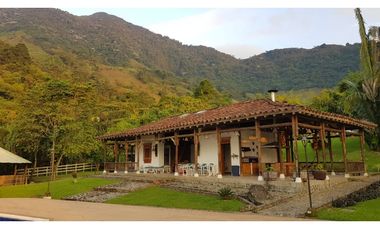Venta finca venecia El rincon
