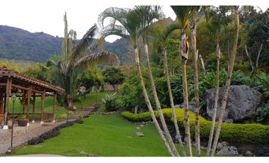 Venta finca venecia El rincon