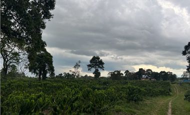 HERMOSA FINCA EN QUIMBAYA