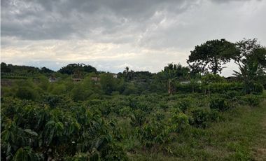 HERMOSA FINCA EN QUIMBAYA