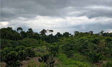 HERMOSA FINCA EN QUIMBAYA