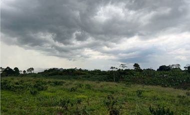 HERMOSA FINCA EN QUIMBAYA