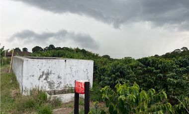 HERMOSA FINCA EN QUIMBAYA
