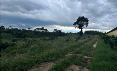 HERMOSA FINCA EN QUIMBAYA
