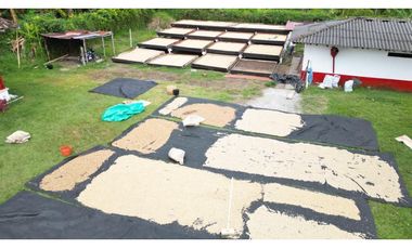 HERMOSA FINCA EN QUIMBAYA