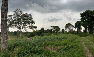 HERMOSA FINCA EN QUIMBAYA