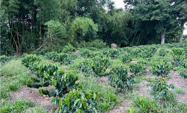 HERMOSA FINCA EN QUIMBAYA