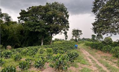 HERMOSA FINCA EN QUIMBAYA