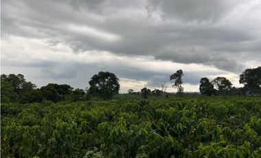 HERMOSA FINCA EN QUIMBAYA