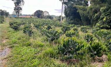 HERMOSA FINCA EN QUIMBAYA