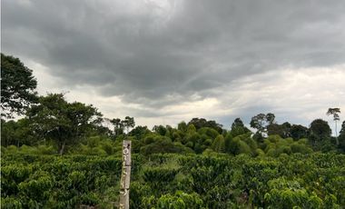 HERMOSA FINCA EN QUIMBAYA