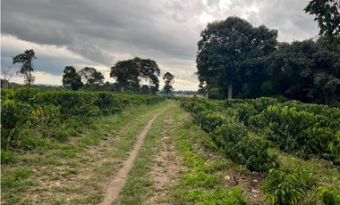 HERMOSA FINCA EN QUIMBAYA