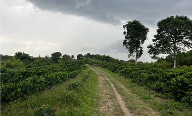 HERMOSA FINCA EN QUIMBAYA