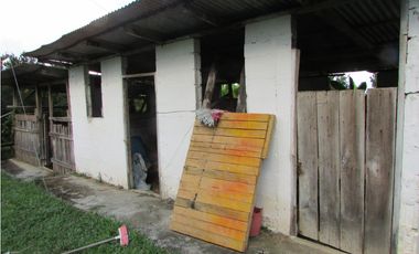 Venta de finca en Tamesis - Suroeste Antioqueño