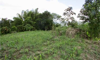 Venta de finca en Tamesis - Suroeste Antioqueño