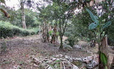 Venta de finca en Tamesis - Suroeste Antioqueño
