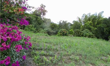 Venta de finca en Tamesis - Suroeste Antioqueño