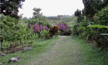 Venta de finca en Tamesis - Suroeste Antioqueño