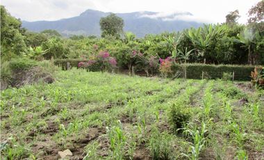 Venta de finca en Tamesis - Suroeste Antioqueño
